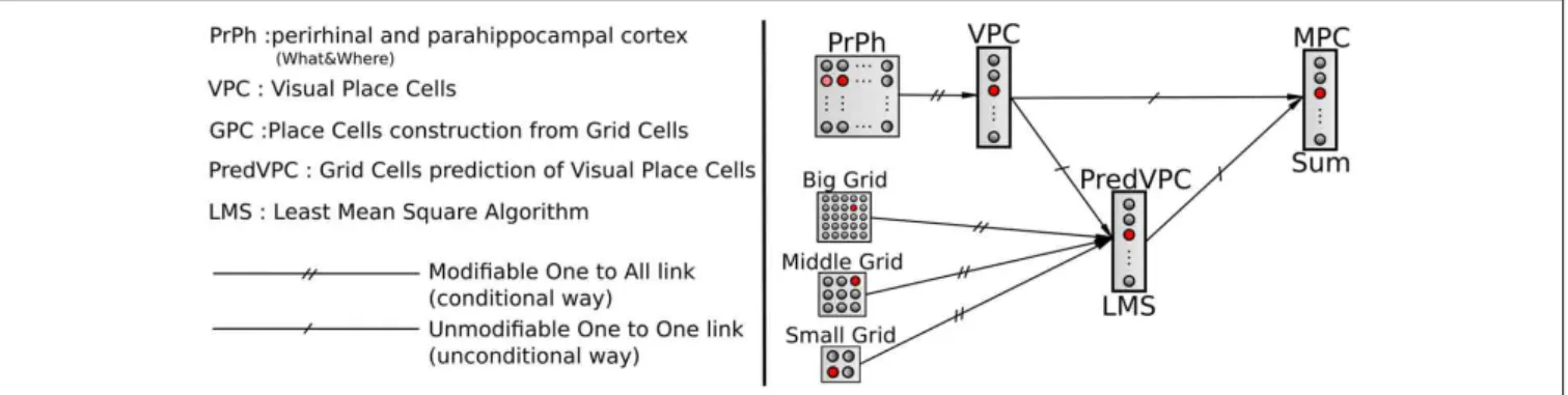 FIGURE 3 | A conditional association to merge visual and grid information. Associations between visual place cells (VPCs) as unconditional stimulus and place cells predicted by grid cells (PredVPCs) taken as conditional stimuli.