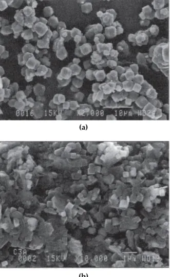 Figure 1.2: SEM of cubic crystals of C 3 AH 6 at magnifications of (a)2000 (b)10,000, respectively(Photographs supplied by Lafarge Alunimates)(Barnes