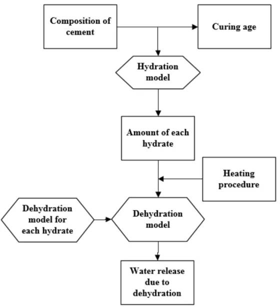 Figure 2.1: Scheme to calculate the water release due to dehydration for ce- ce-ment paste