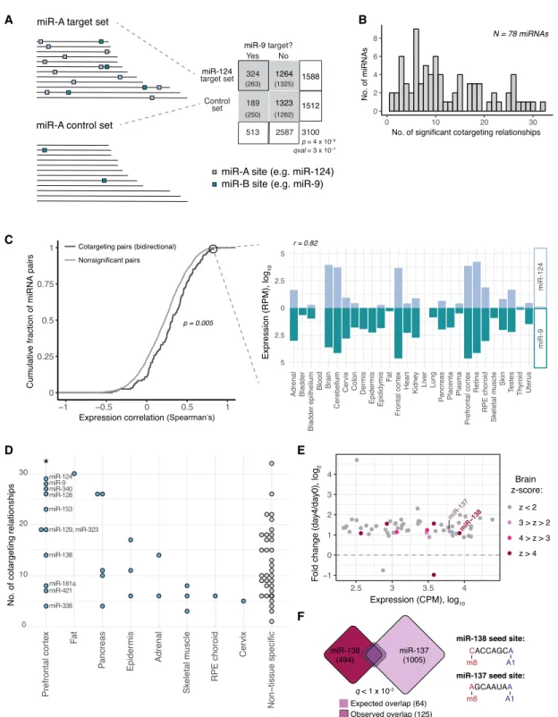 Figure 1. Cotargeting by distinct miRNA pairs is prevalent, particularly among brain-specific miRNAs
