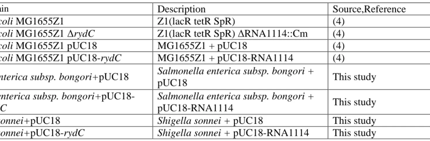 Table S1. Strains used and constructed in this study.