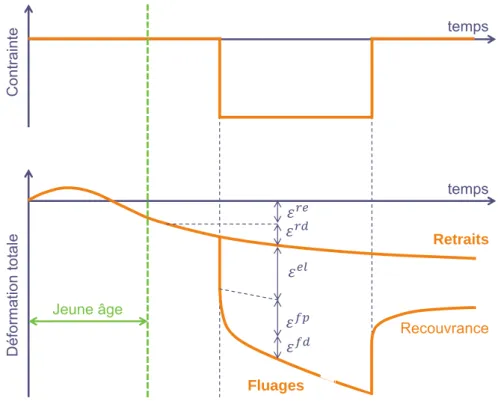 Fig. 1.14 : Principe d’évolution des déformations différées du béton dans le cas d’un  chargement unidirectionnel simple