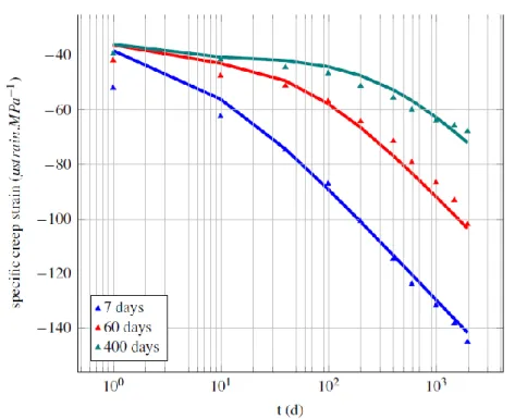 Fig. 2.4 : Impact de la date de chargement sur la déformation de fluage propre,  comparaison modèle/expérience (issu de [53]) 