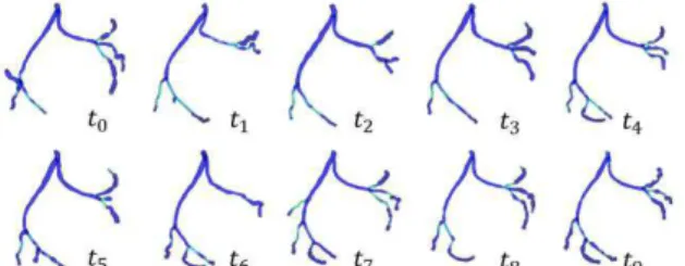 Figure 2: 3D coronary tree at different phases k  of the cardiac  cycle [2]. 