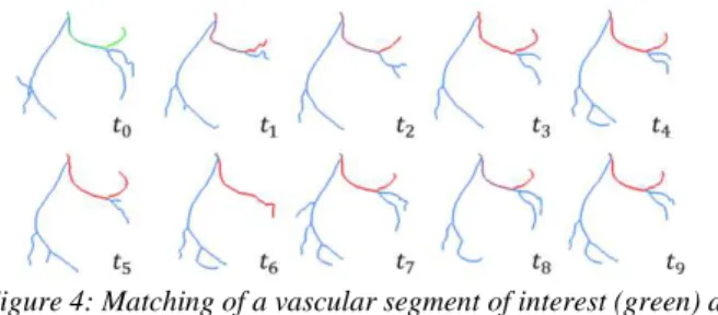 Figure 3 : Input data: superposition of extracted central axis  of vascular branches over the sequence