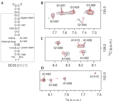 Fig 2 | Titration of 13 C, 15 N-DC33 with (1:1) [TLD60/D-Cter SmpB].