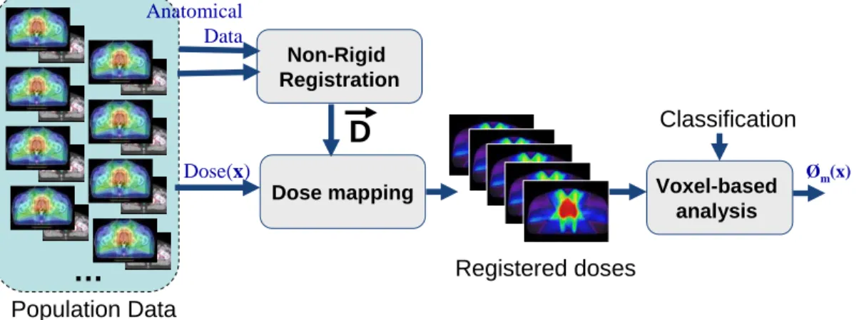 Figure 1. General framework of the proposed dose mapping and voxel-wise analysis. The anatomical information from a patient is NRR registered to a common template
