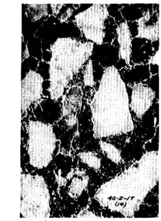 Fig. 16 Terrazzo with 2% acetylene black (after 4500 cycles, mag. x 4) (sample No. 14)