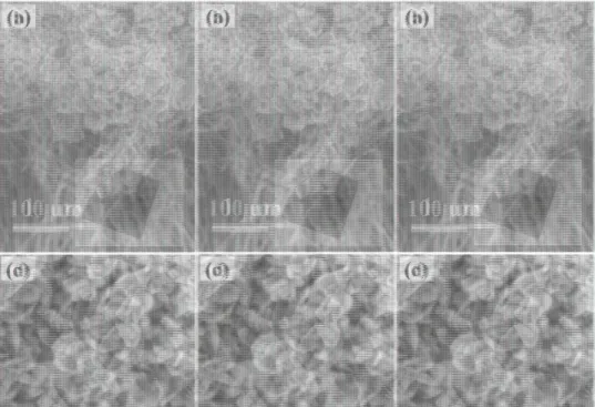 Figure 1. SEM images of MoS 2 /CNT sample synthesized by a 50 nm Mo flm sulfurized at 850 °C with 420 mg of S powder  for 60 min