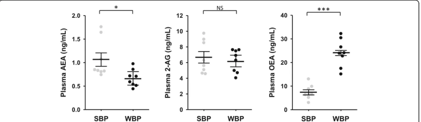 Fig. 1 Lipidomic from summer and winter brown bear serum. The winter and summer bear serum mixes were prepared as described (Supplementary Table S1)