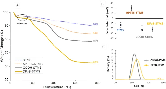 Figure 3. A) TGA and B) ZP of STMS (blue), APTES-STMS (orange), COOH-STMS (gray) and DFoB-STMS  (yellow)