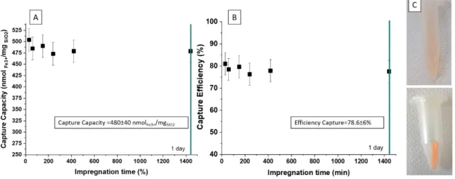 Figure  4.  A)  Capture  capacity  and  B)  capture  efficiency  of  iron(III)  by  DFoB-STMS  using  different  impregnation  times  for  a  ratio  FeNTA:DFoB grafted   of  0.85:1  at 25°C,  pH  7.4