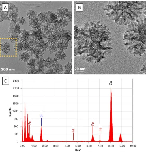 Figure 5. TEM images of FeDFoB-STMS with A) low magnification and B) high magnifications and C)  EDX analysis of FeDFoB-STMS NPs