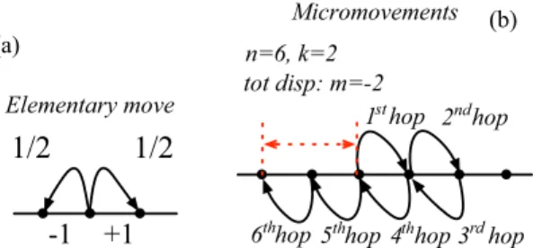 FIG. 1. The walker is allowed to perform at each step n ele- ele-mentary moves, each one having equal probability 1/2 to be in the positive or negative direction (a)