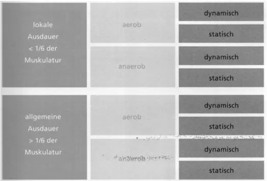 Abbildung  3.  Ausdauer:  Ermüdungsresistenz  bei  statischer  oder  dynamischer  Beanspruchung  der  Muskulatur