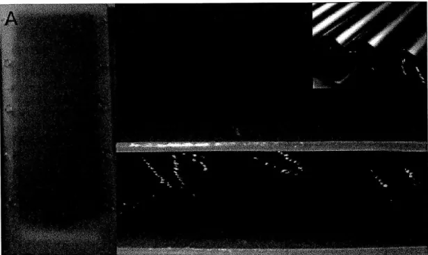 Figure  4-5:  This  iteration  exhibited  counterbend,  but  was  still  slightly  overweight and  the bracepoint  was  round  which  hindered  clamping.