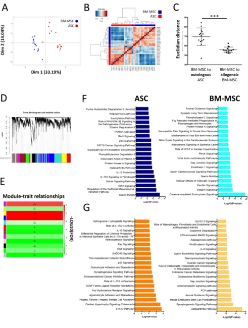 Figure 1. Paired ASC and BM-MSC transcriptomic analysis reveal tissue-specific signatures 