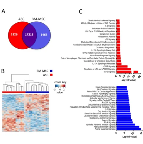 Figure 2. Paired ASC and BM-MSC differential gene expression pattern highlights tissue-specific functional  pathways 3456789101112131415161718192021222324252627282930313233343536373839404142434445 46 47 48 49 50 51 52 53 54 55 56