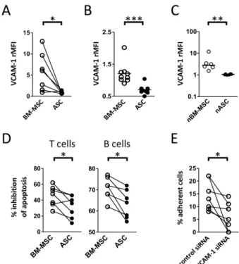 Figure 4. ASCs and BM-MSCs differentially mediate immune cell adhesion and survival 