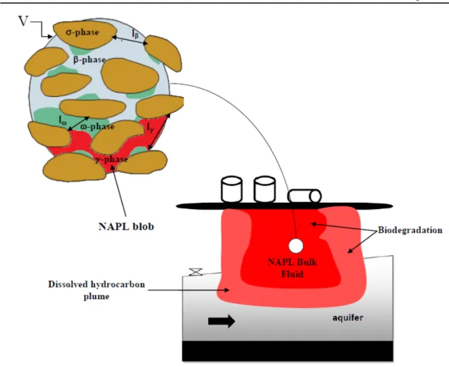 Figure 3.1 – Sketch of an aquifer contamination by a trapped hydrocarbon phase