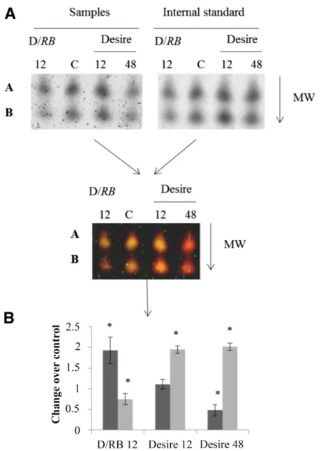 Fig. 5. Quantification of SUMOylated proteoforms abundance changes during infection by three-dimensional (3D) difference gel electrophoresis