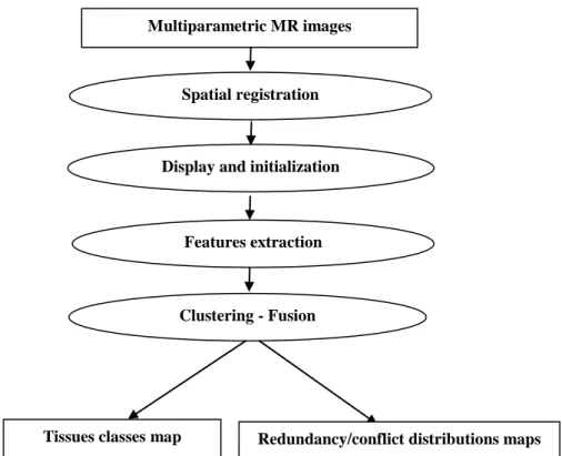 Figure 2 depicts the pipeline of the method. 
