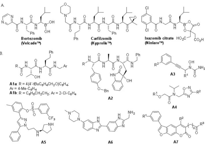 Figure 1: Chemical structures of some known proteasome inhibitors. A. Inhibitors used in cancer therapy