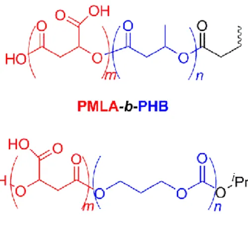 Figure  7:  Inhibition  of  PMLA 800 -b-PHB 7300 –based  NPs  uptake  in  HepaRG  cells