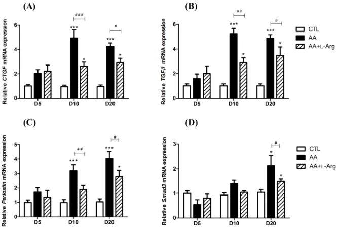 Fig 6. Effect of L-arginine supplementation on relative kidney expression of profibrotic factors; connective tissue growth factor (CTGF), transforming growth factor β (TGFβ), periostin and Smad3 mRNA (2 -Δ ΔCT ) at days 5, 10 and 20 in CTL, AA and AA+L-Arg