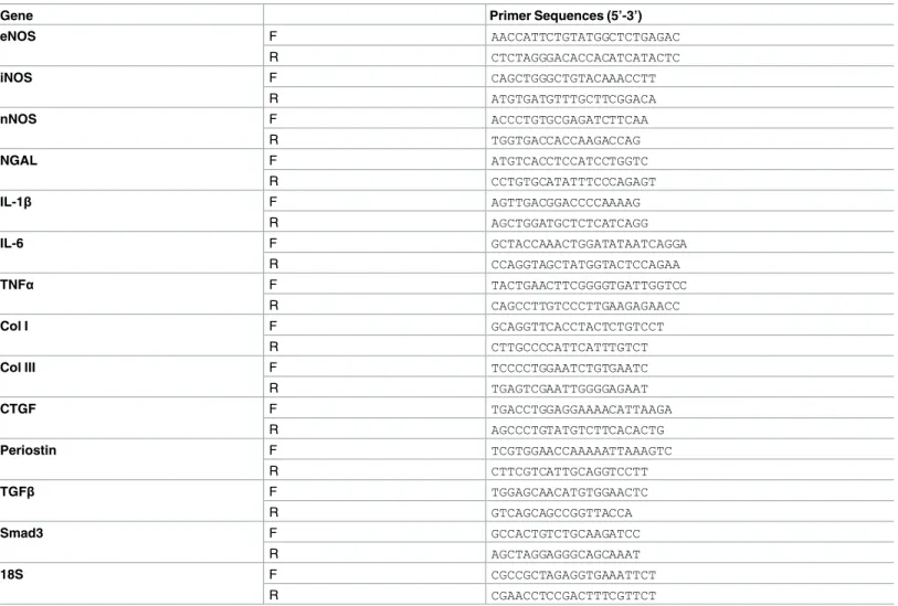 Table 1. Sequences of the primers used for qRT-PCR.