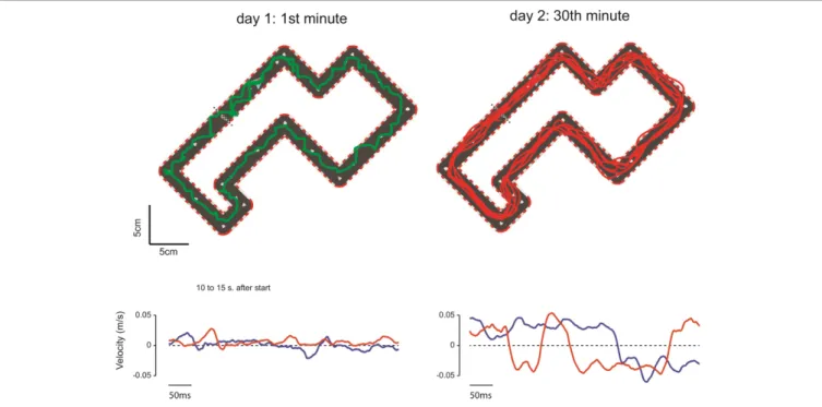 FIGURE 2 | Behavior during the first and 30th minute of training. (Top) Cursor trajectory during the 1st minute of the training (left, green trace) and during the 30th minute of training (right, red trace)