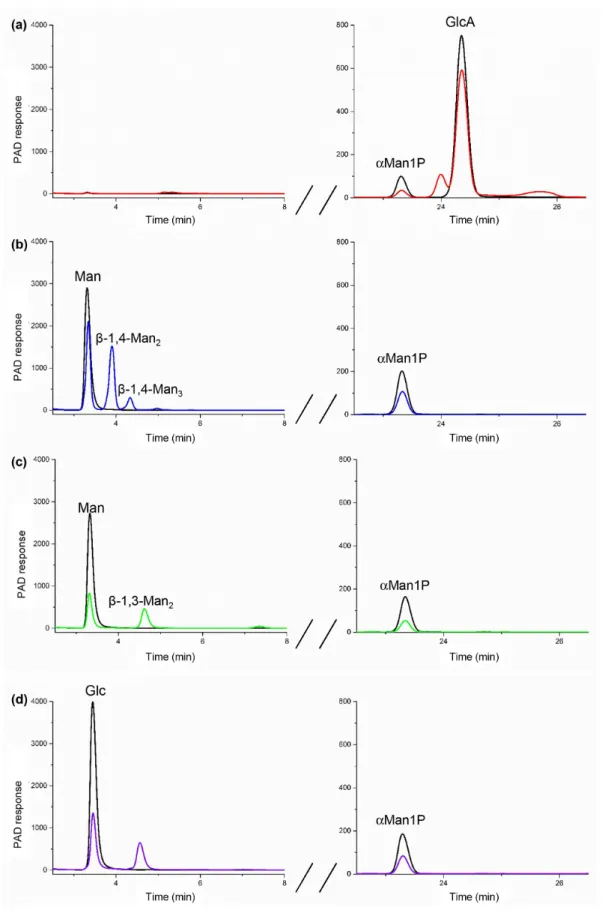 Fig. 3. HPAEC- PAD analysis of the reverse phosphorolysis reactional mixtures after incubation for 0 min (in black) and 24 h (in colour)  with U1 (a), U3 (b) and U7 (c, d)