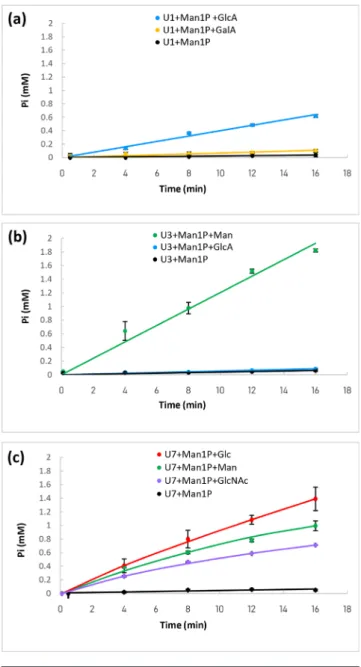 Fig. 2. Determination of the acceptor specificity of the purified enzymes  U1 (a), U3 (b) and U7 (c)