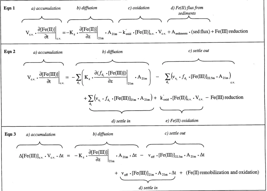 Table  3A  Fe  mass transport  model