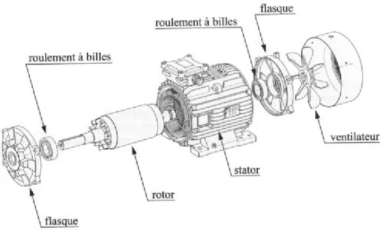Fig. 2.3 – Structure d’une machine asynchrone à cage d’écureuil ou à rotor massif [G1]