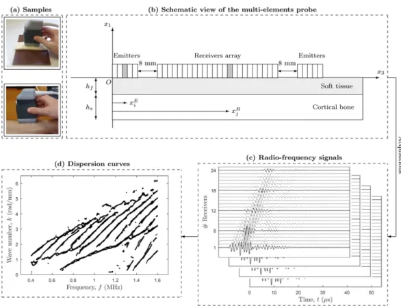 Figure 1 depicts an example of some of the investigated specimens, along with the experimental setup used to  obtain the dispersion curves.