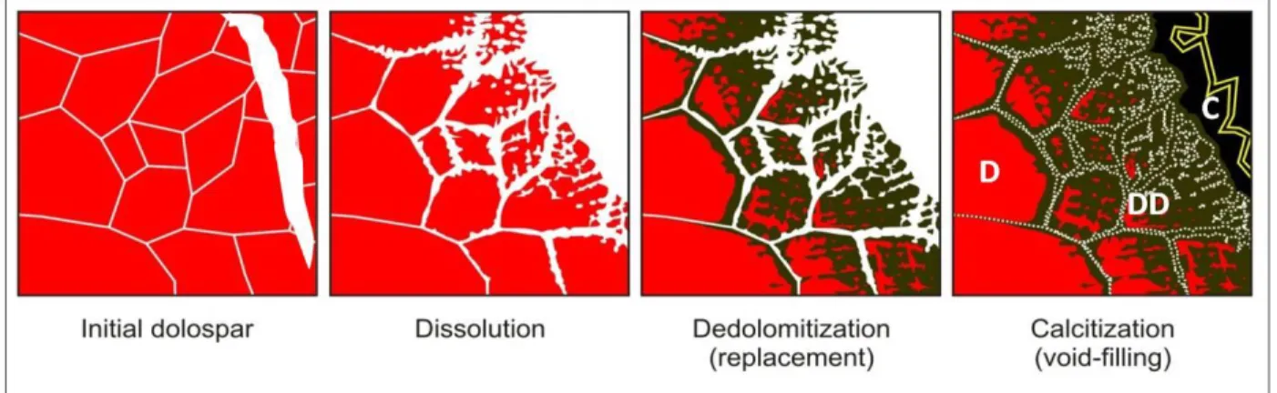 Figure 3. Sketch of the process leading to the observed fabrics and their distribution at thin-section scale