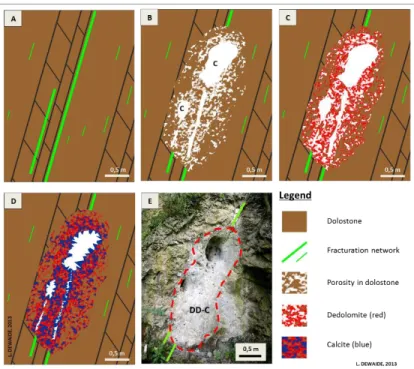 Figure  4.  Proposed  genetic  model  for  the  development  of  “dolostone  cavity  type”  karst  in  Waulsortian  mudmounds