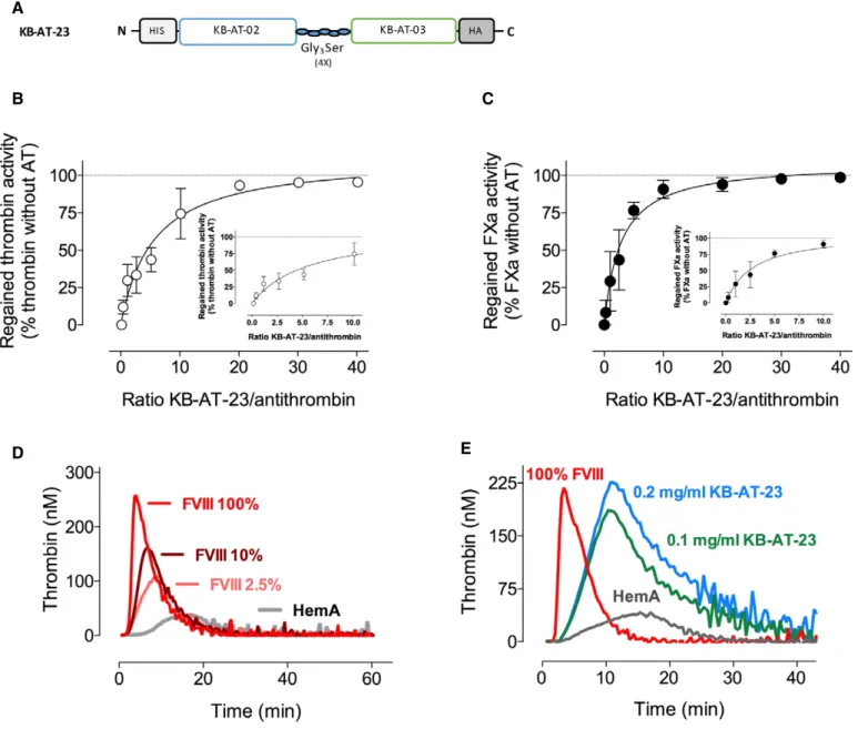 Figure 2. Engineering of a bivalent KB-AT-23 sdAb and test of its antithrombin inhibitory activity in vitro.