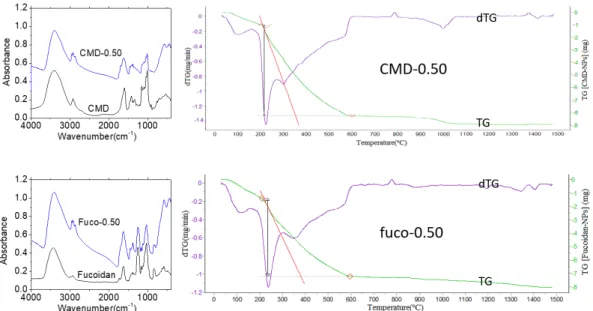 Figure 3. FT-IR absorption spectra and thermograms of fucoidan coated NP-0.50 (fuco-0.50) and  carboxymethyldextran (CMD) coated NP-0.50 (CMD-0.50)