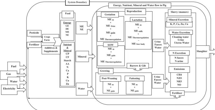 Figure 1 Scheme of the system boundary, which includes the entire pig farm, feed production processes and manure management