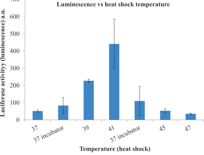 Figure 2.17. Effect of heat shock temperature on luminescence activity (1h heat shock)  In figure 2.17