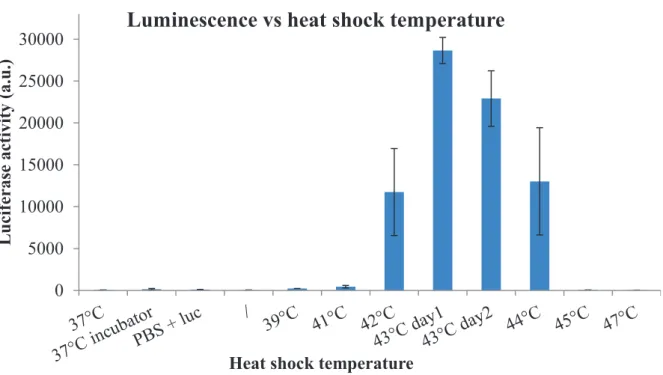 Figure 2.18. Effect of heat shock temperature on luminescence activity (1h heat shock)  43°C is the optimal heat shock temperature as the luminescence is more than twice the one at  42°C and 44°C