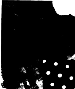 Fig.  4.  Bright  field TBM image of  specimen 2.  The diffraction  pattern  in  the  inset  corresponds  with  a  B[ -  1111 orientation  of  the  iron