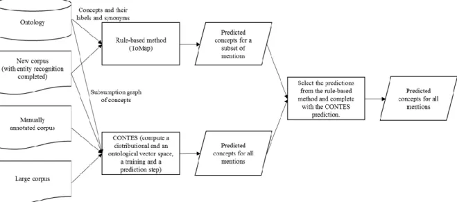 Figure 3: Diagram of the HONOR method, combining the CONTES and the rule-based ToMap methods
