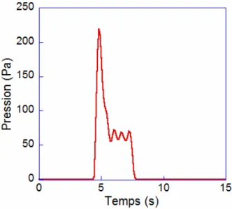 Figure 2.7 – Pression en fonction du temps. Dans cet exemple le débit d’injection est 320 ml/min.