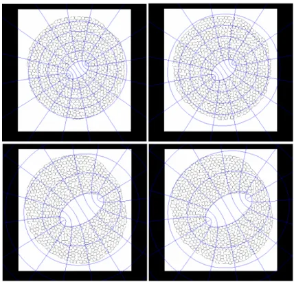 Figure 3.7 – Ajustement de la bulle centrale avec des ellipses et les courbes de cordonnées elliptiques (ξ,η).