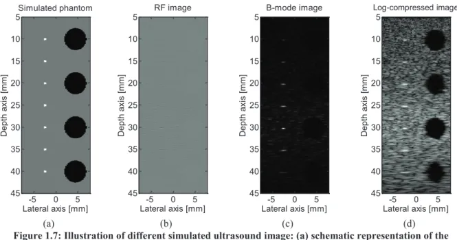 Figure 1.7: Illustration of different simulated ultrasound image: (a) schematic representation of the  simulated phantom, (b) RF image, (c) B-mode image and (d) B-mode image log-compressed with a 