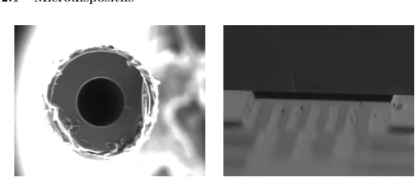 Figure 1.2 – Photos du microtube et du microcanal obtenues par le microscope