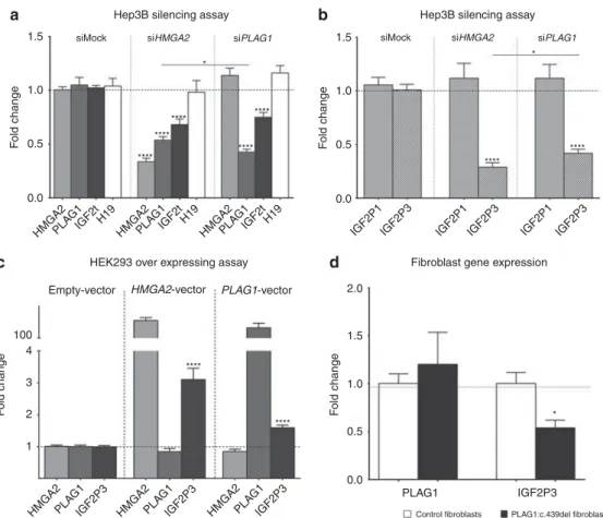 Figure 2 Functional characterization of the effects of HMGA2 and PLAG1 silencing/mutation on IGF2 expression